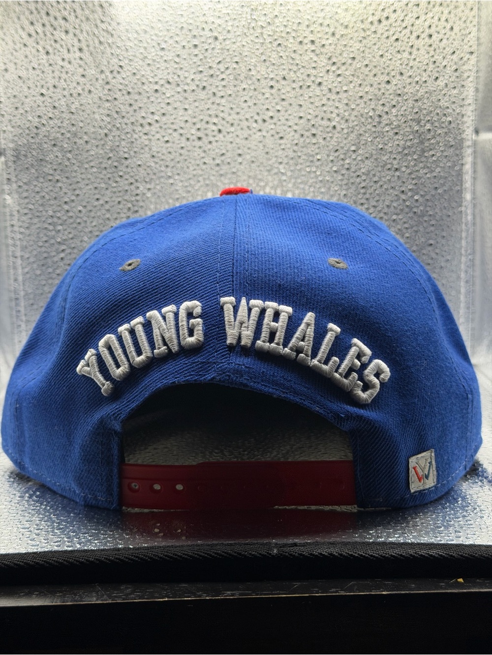 SnapBack young whales giants hat - Picture 2 of 2